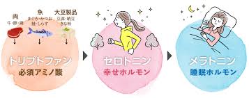 トリプトファンの効果
