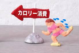 カロリーを減らそうと奮闘する女性のイメージ