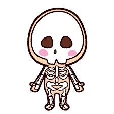 可愛い骨格のイラスト
